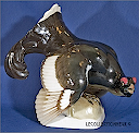 Coq de bruyère de Nymphenburg